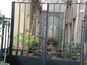  cour d'immeuble, rue Tournefort